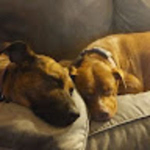 Meet your Posher, Tim